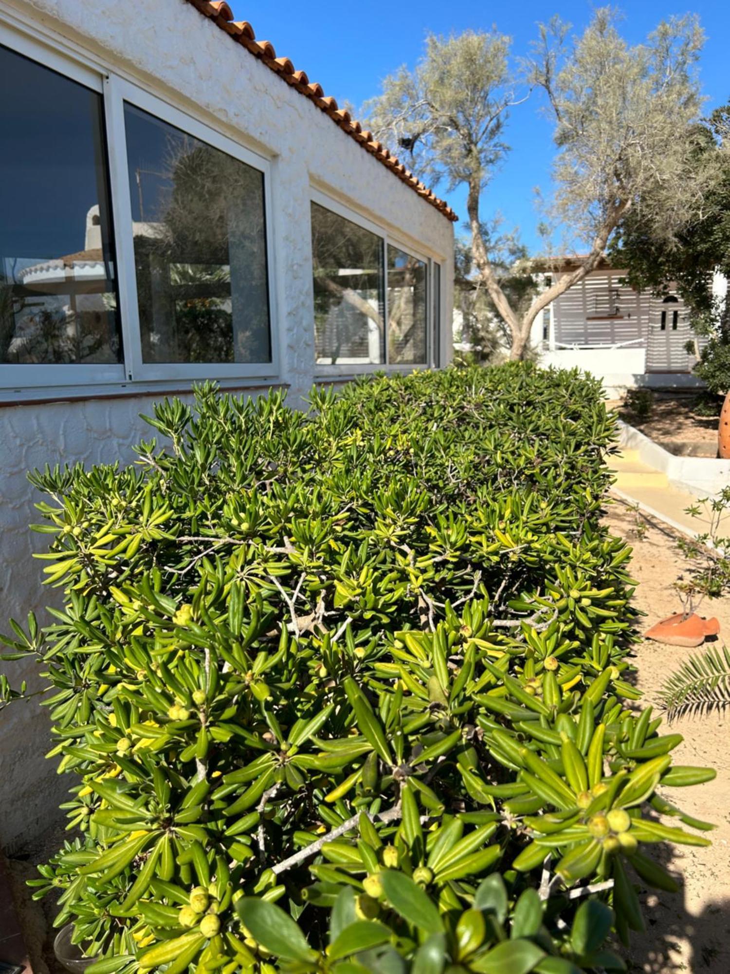 Oasi Di Casablanca Lampedusa Exterior foto