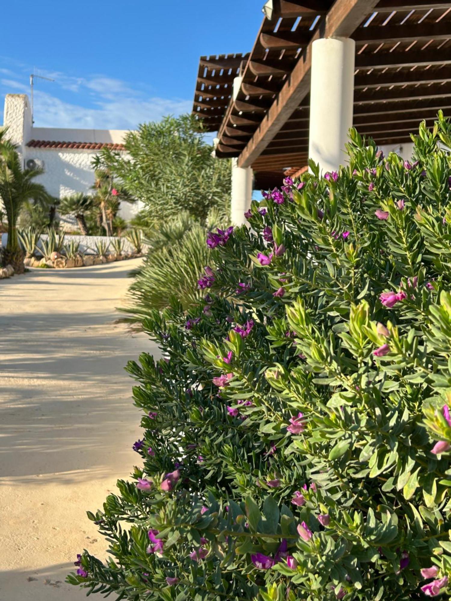 Oasi Di Casablanca Lampedusa Exterior foto