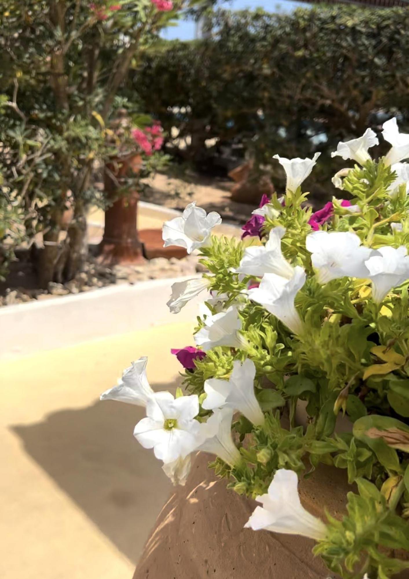 Oasi Di Casablanca Lampedusa Exterior foto