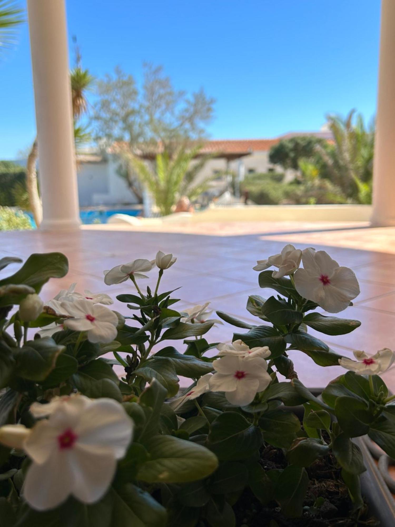 Oasi Di Casablanca Lampedusa Exterior foto